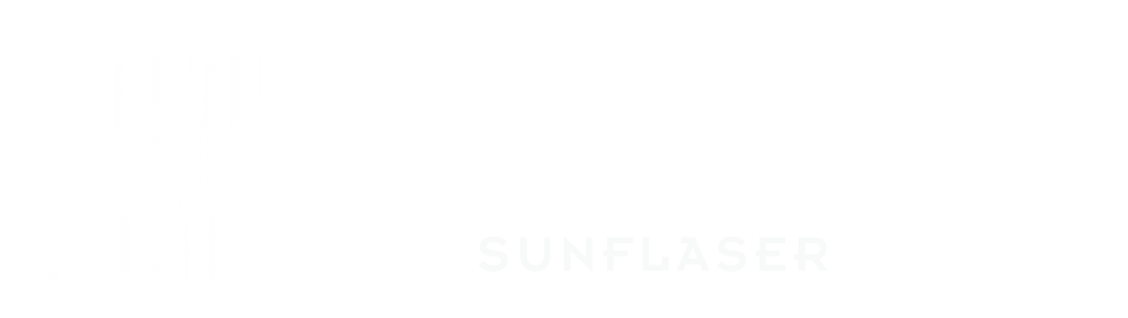 盛飞光速科技（成都）有限公司